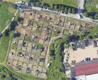 Nuovi orti urbani e una food forest a Mirafiori Sud
